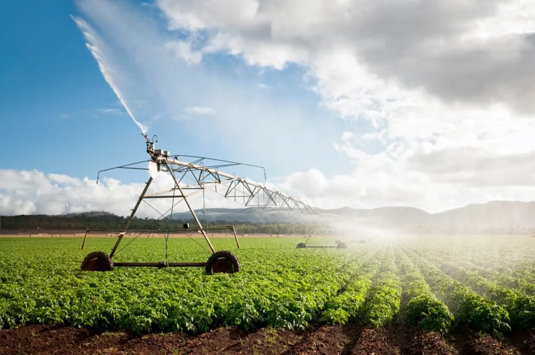 How environmental policies are redefining the agricultural investment market in North America